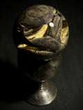 American Bullfrog Wet Specimen on Vintage Base
