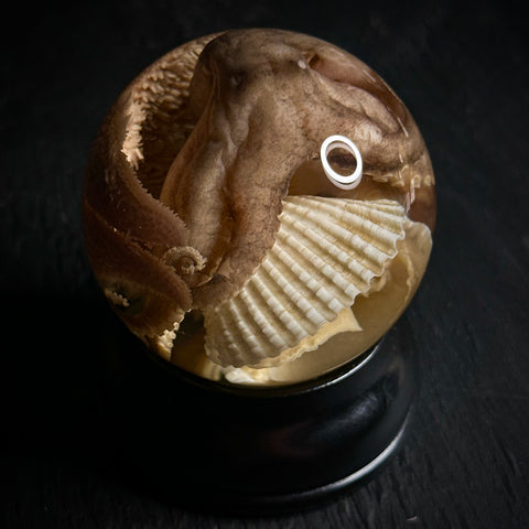 Clam Jam Wet Specimen Globe