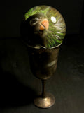 Asian Parakeet Wet Specimen on Vintage Base