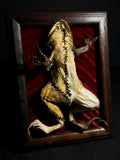 IT'S ALIVEEE!!! Mummified Frankenfrog Display