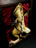 IT'S ALIVEEE!!! Mummified Frankenfrog Display