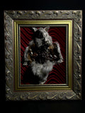 Mummified Flayed Chinchilla Display