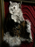 Mummified Flayed Chinchilla Display