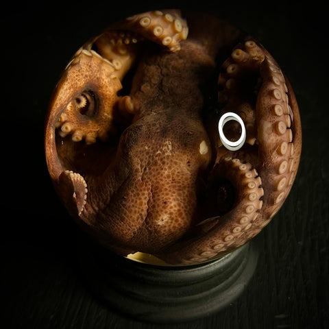Red Octopus Wet Specimen Globe