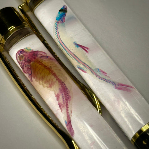 Diaphonized Specimen Pen