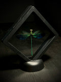 Green Metalwing Damselfly
