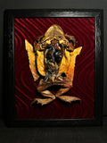 Dissected Cane Toad Framed Display