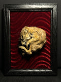 Prairie Dog Framed Display