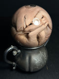 Pig Fetus with Antique Base