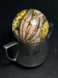 Hermit Crab with Vintage Base