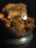 Octopus with Antique Base