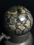 Diamondback Watersnake with Antique Base