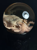 Octopus with Vintage Base