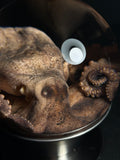 Octopus with Vintage Base