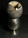 Amphiuma with Vintage Base