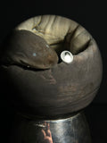 Amphiuma with Vintage Base