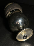 Amphiuma with Vintage Base