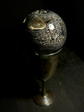 Southern Watersnake on Vintage Base