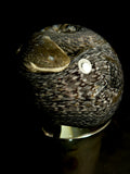 Southern Watersnake on Vintage Base