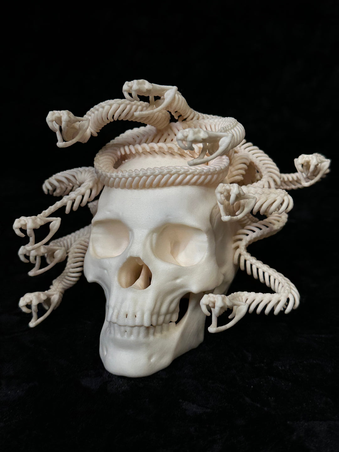 New and Restocked! – Forgotten Boneyard