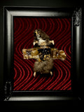 Mummified Flayed Hamster Framed Display