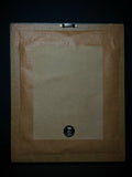 Mummified Flayed Hamster Framed Display