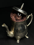 Tentacle Wet Specimen on Vintage Base