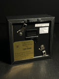 Japanese Giant Hornet Shadowbox Display