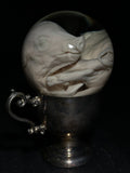 Pig Fetus Wet Specimen on Antique Base