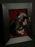 Mummified Watersnake Display