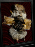 Mummified Flayed Hamster Display