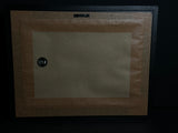 Mummified Flayed Cane Toad Display