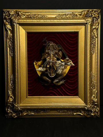 "Indigestion" Mummified Art Display