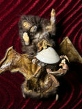 "Internal Parasite" Mummified Display