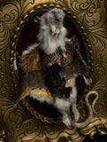Mummified Flayed Rat Display