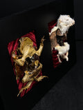 Flayed Rat & Cane Toad Dual Mummified Display