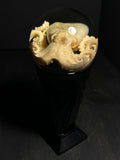 Octopus Wet Specimen with Vintage Base