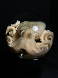 Octopus Wet Specimen with Vintage Base