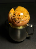 Crayfish Wet Specimen with Vintage Base