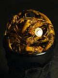 Spider Snowglobe Wet Specimen with Vintage Base