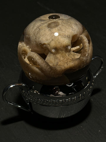 Octopus Wet Specimen with Vintage Base