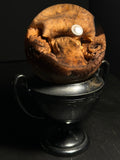 Octopus Wet Specimen with Antique Base