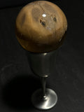 Stingray Wet Specimen Globe with Vintage Base