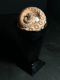 Tentacle Wet Specimen with Vintage Base