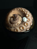 Tentacle Wet Specimen with Vintage Base