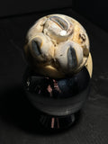 Sheep Eyeballs Wet Specimen with Vintage Base