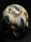 Sheep Eyeballs Wet Specimen with Vintage Base