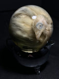 Chicken Wet Specimen with Vintage Base