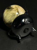 Chicken Wet Specimen with Vintage Base