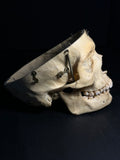 Vintage Kilgore International Human Skull